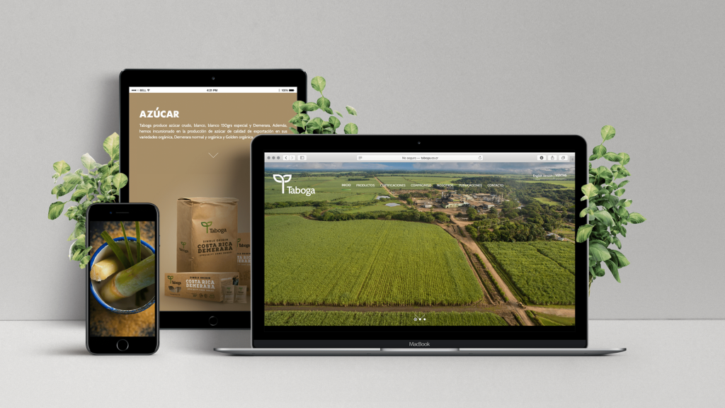 Sitio web creado para nuestro cliente Taboga